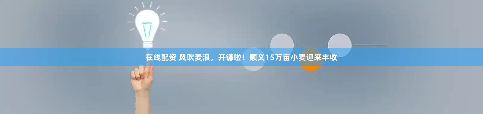 在线配资 风吹麦浪，开镰啦！顺义15万亩小麦迎来丰收