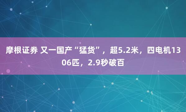 摩根证券 又一国产“猛货”，超5.2米，四电机1306匹，2.9秒破百