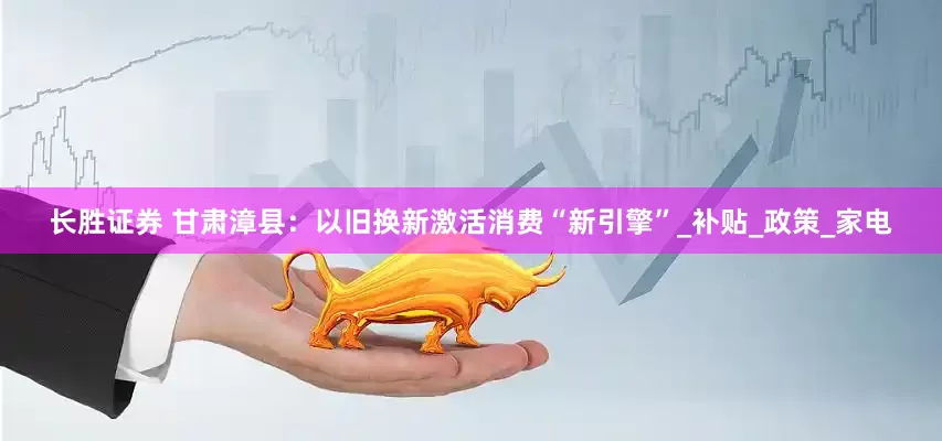 长胜证券 甘肃漳县：以旧换新激活消费“新引擎”_补贴_政策_家电