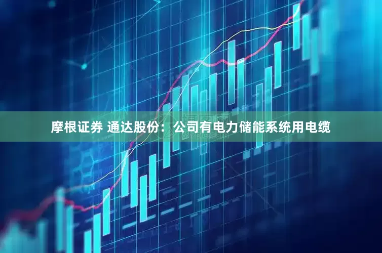 摩根证券 通达股份：公司有电力储能系统用电缆